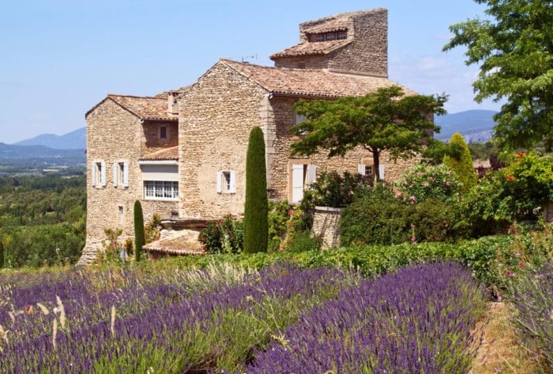 Maison en pierres champ de lavande