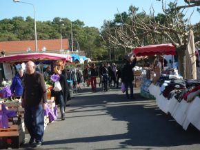 marchés de lacanau 