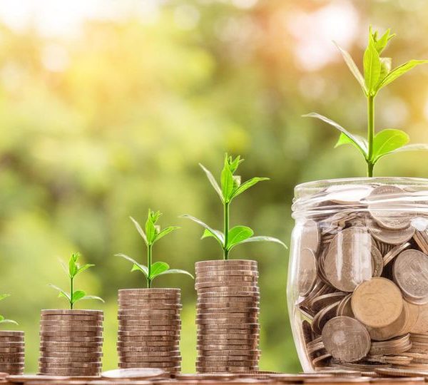 Un pot de pièces de monnaie avec une plante qui en sort.