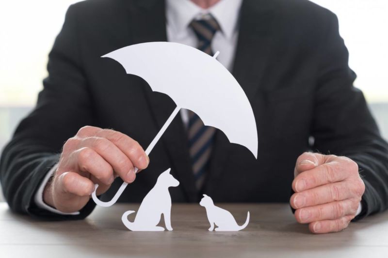 Un homme d'affaires tenant un parapluie en papier avec un chat et un chien en dessous.