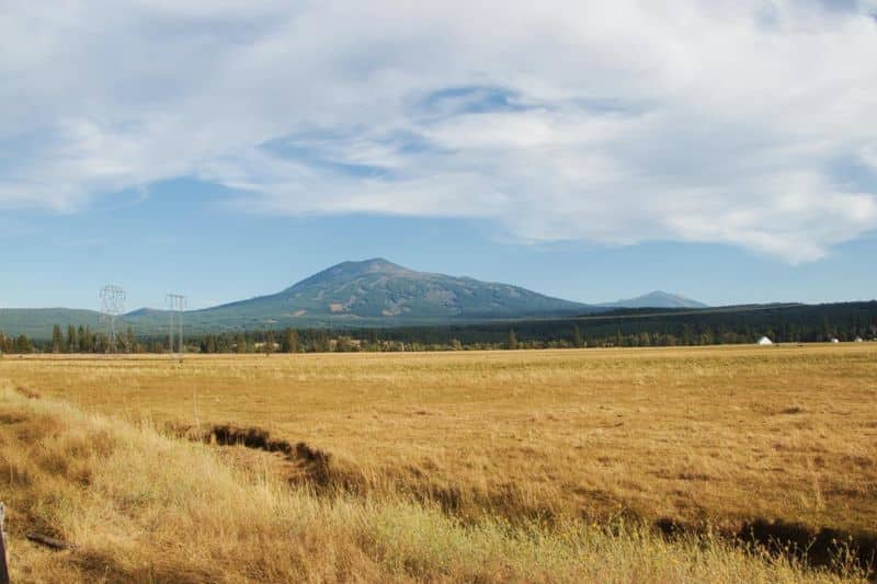 Comment vendre un terrain agricole ?