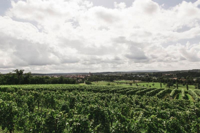 Comment vendre un terrain agricole ?