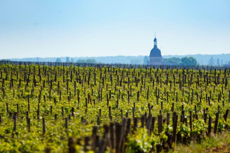 vin de Bourgogne