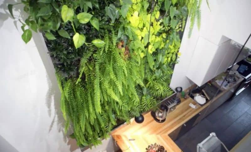 De la verdure à votre intérieur: le must-have de l'été 2023 par Maisons du Monde !