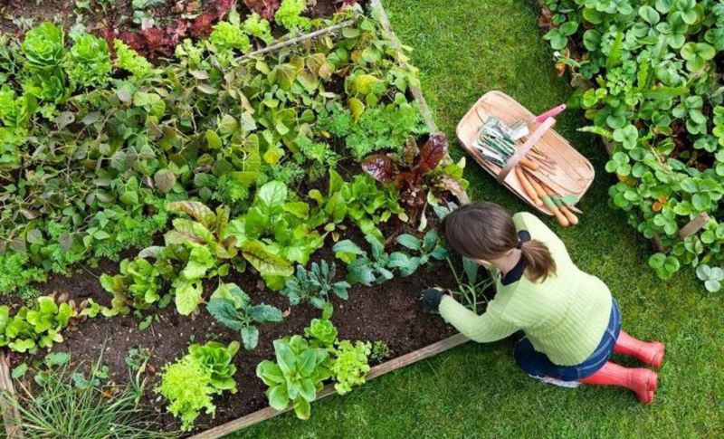 Jardinage : 5 raisons pour lesquelles le Slow Gardening pourrait vous rendre plus heureux