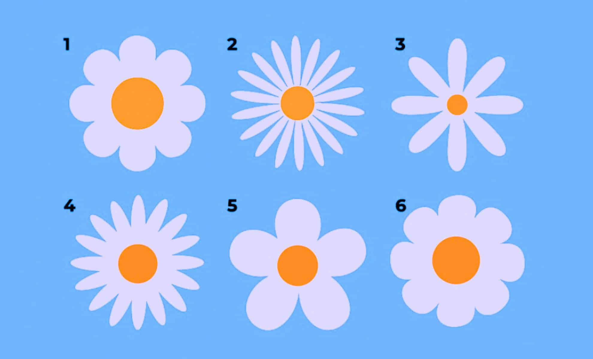 Choisissez une fleur !