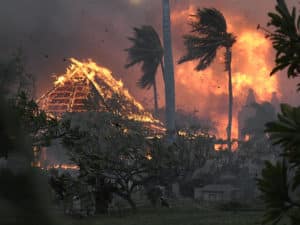 Hawaï : après le plus grand incendie des États-Unis en 100 ans, les habitants se retrouvent victimes des arnaqueurs !