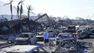 Hawaï : après le plus grand incendie des États-Unis en 100 ans, les habitants se retrouvent victimes des arnaqueurs !