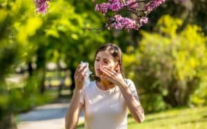 Allergies : l'ambroisie coûte jusqu'à 186 millions d'euros par an à la santé publique !