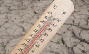 Canicule et travail : ce que vous devez absolument savoir pour protéger vos droits