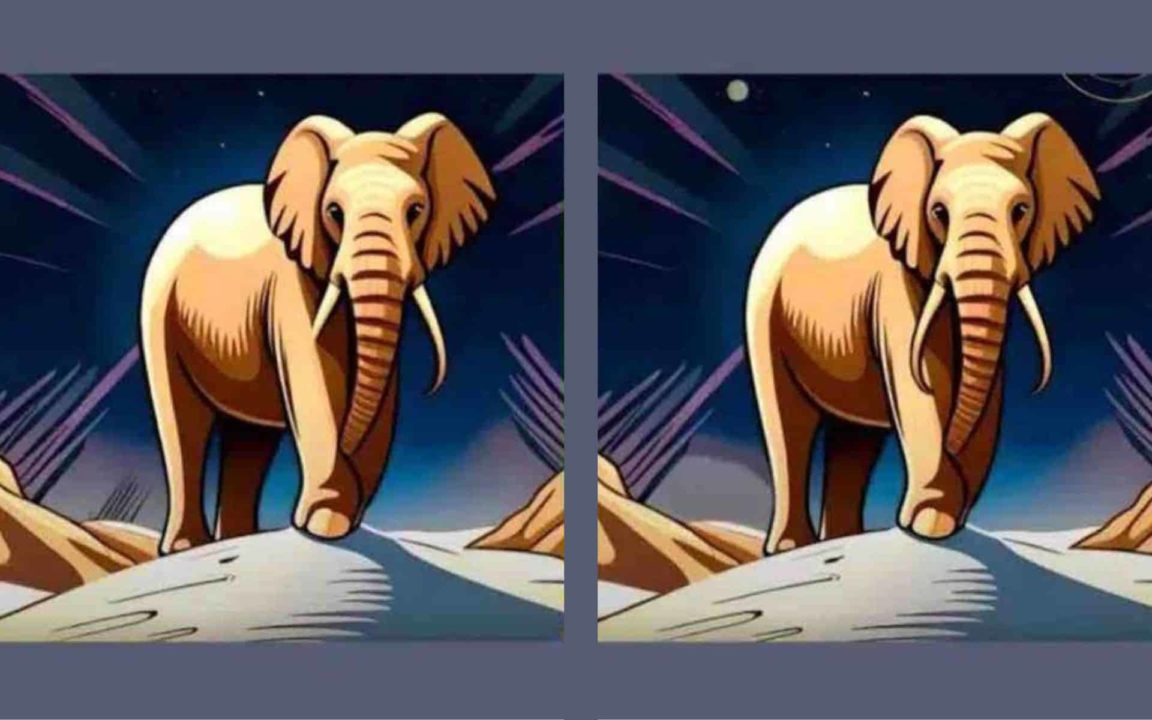 Ce test visuel va époustoufler votre esprit, trouvez les différences en moins de 20 secondes !