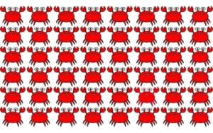 Casse-têtes : êtes-vous capable de repérer l'intrus sur cette image en seulement 10 secondes !