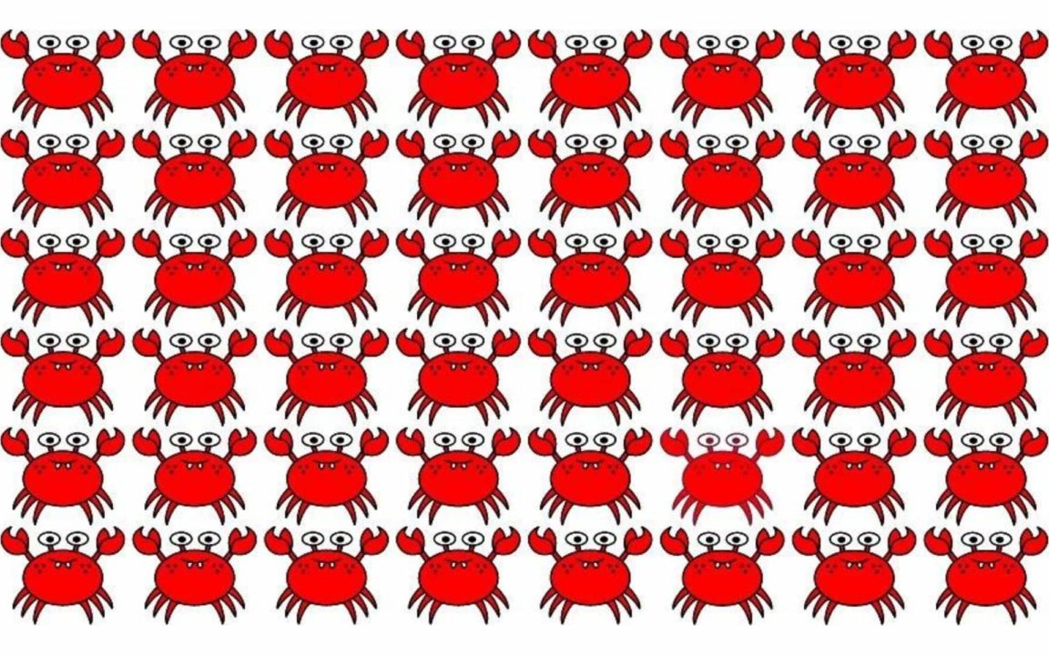 Casse-têtes : êtes-vous capable de repérer l'intrus sur cette image en seulement 10 secondes !