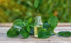 Une Bouteille De Vinaigre De Cidre De Pomme Sur Une Planche à Découper En Bois.