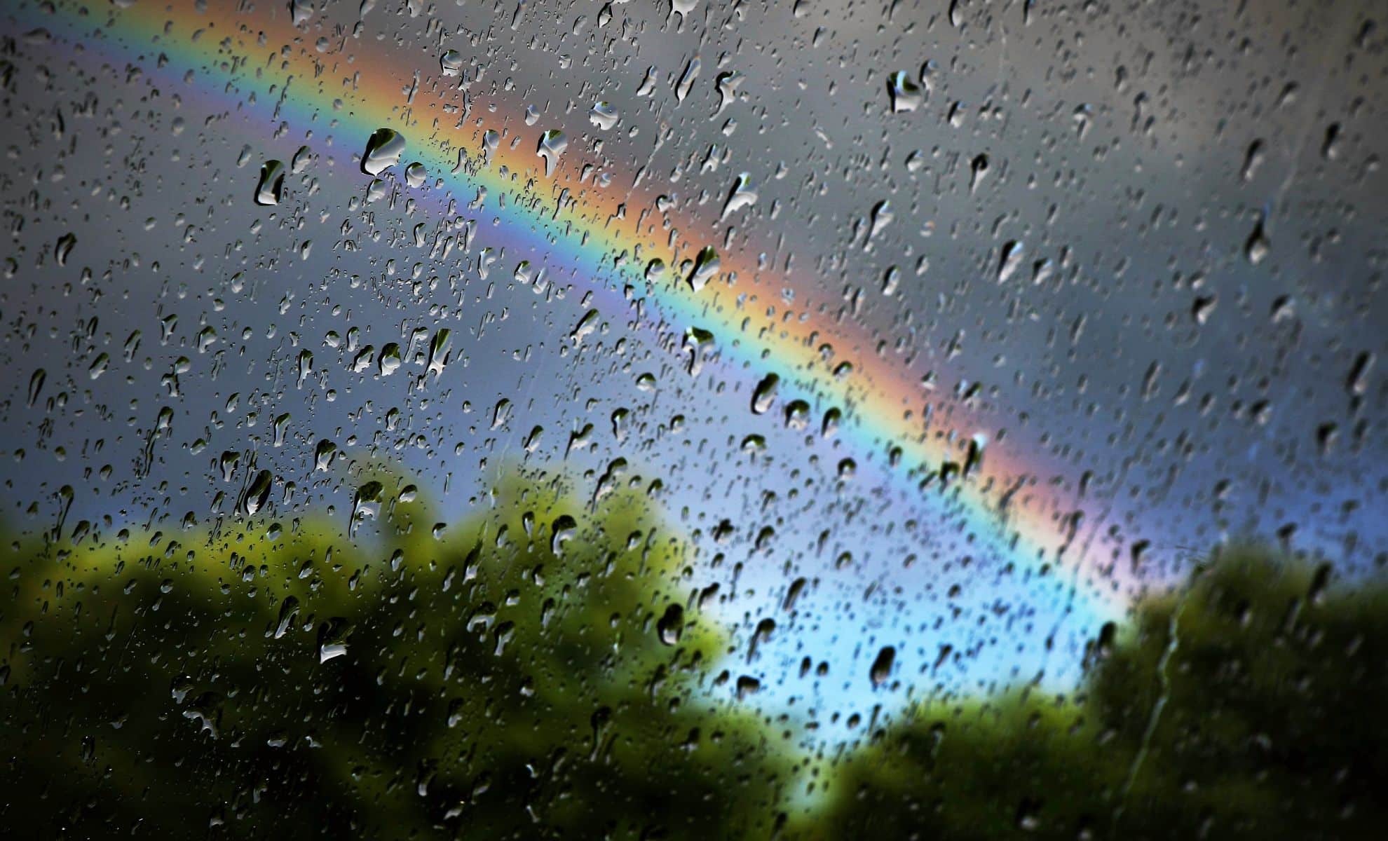 Révélation étonnante : ouvrir ses fenêtres pendant la pluie pourrait changer votre vie !