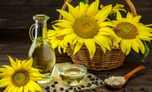 Vous utilisez l'huile de tournesol ? ces faits vous feront changer d'avis !