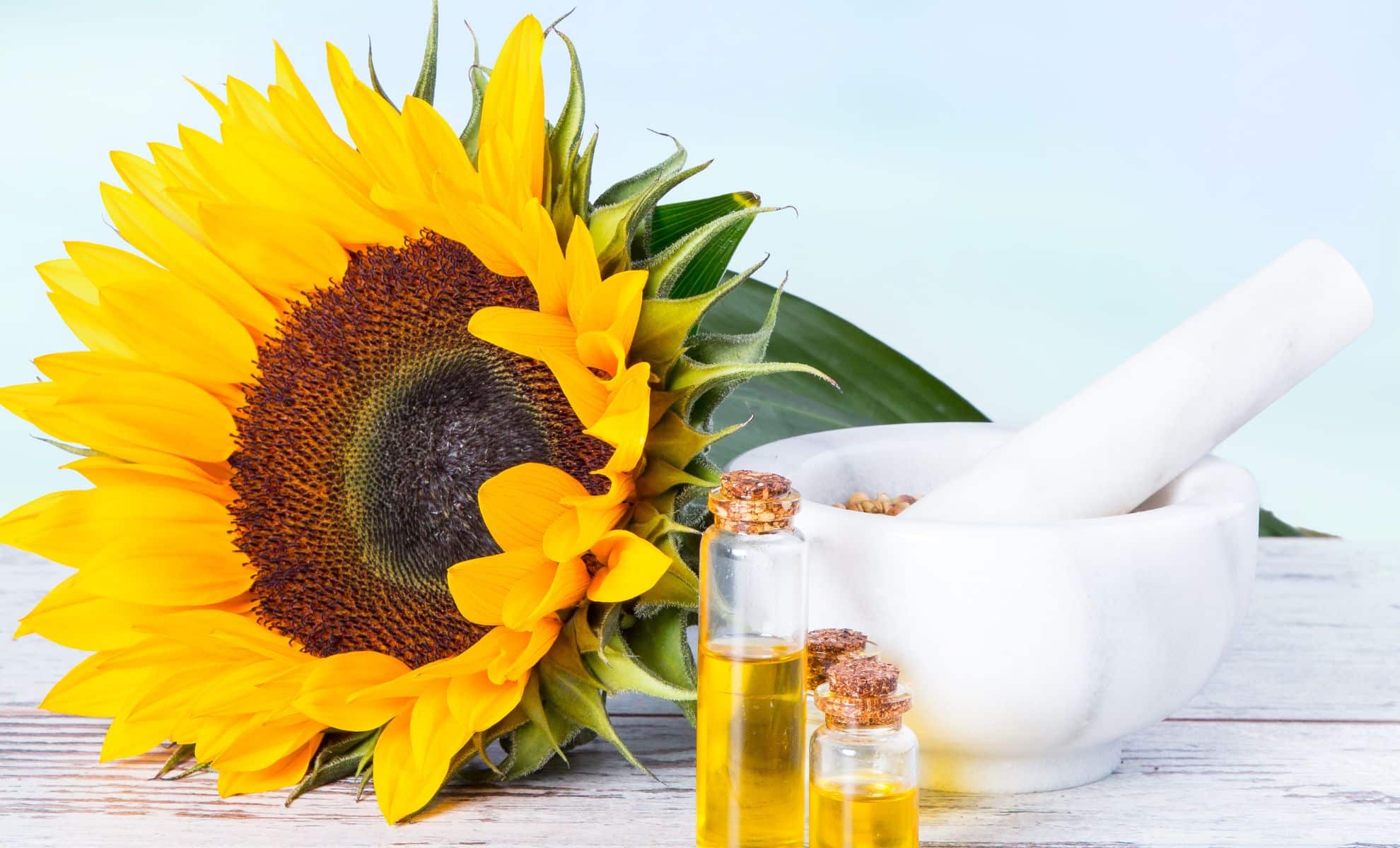 Vous utilisez l'huile de tournesol ? ces faits vous feront changer d'avis !