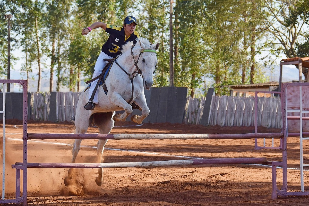 solarium pour chevaux