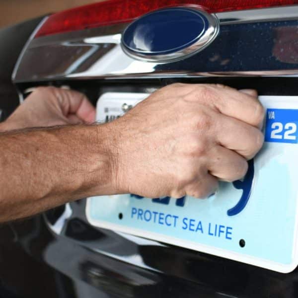 Un Homme Met Une Plaque D'immatriculation Sur Une Voiture.