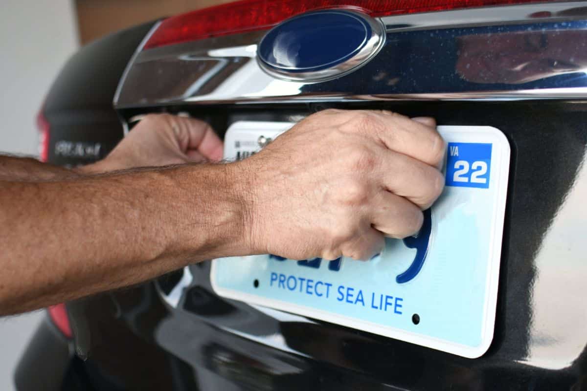 Un Homme Met Une Plaque D'immatriculation Sur Une Voiture.