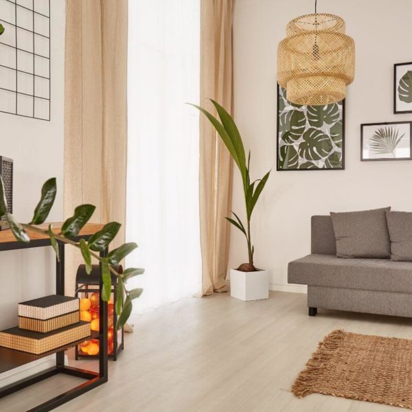 Un Salon traduisant la tendance déco 2023