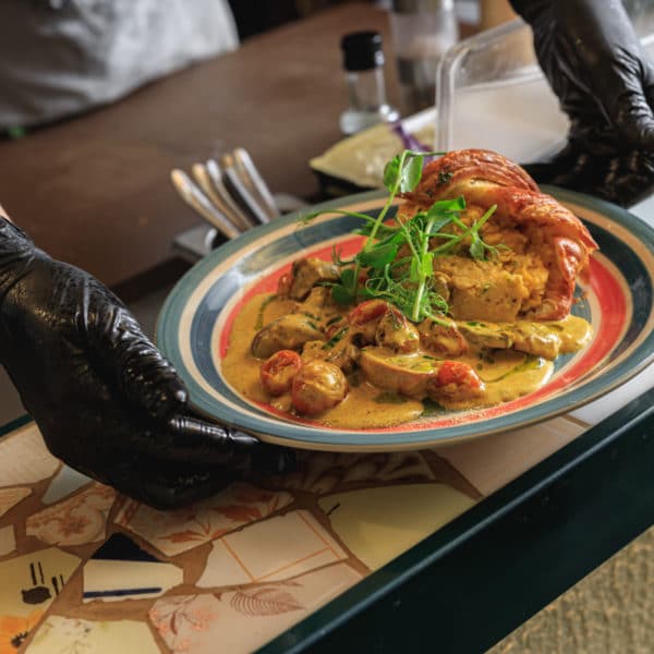 Une Personne Portant Des Gants Noirs Tenant Une Assiette De Nourriture.