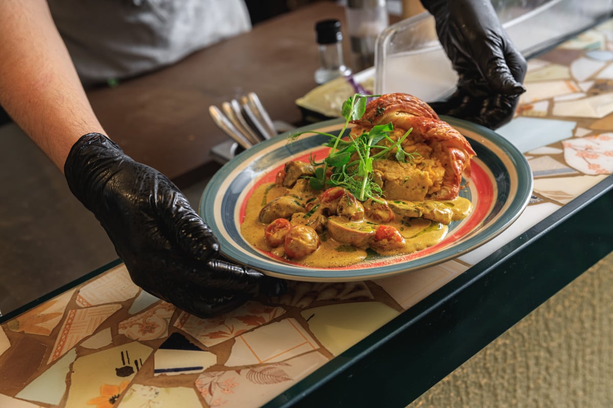 Une Personne Portant Des Gants Noirs Tenant Une Assiette De Nourriture.