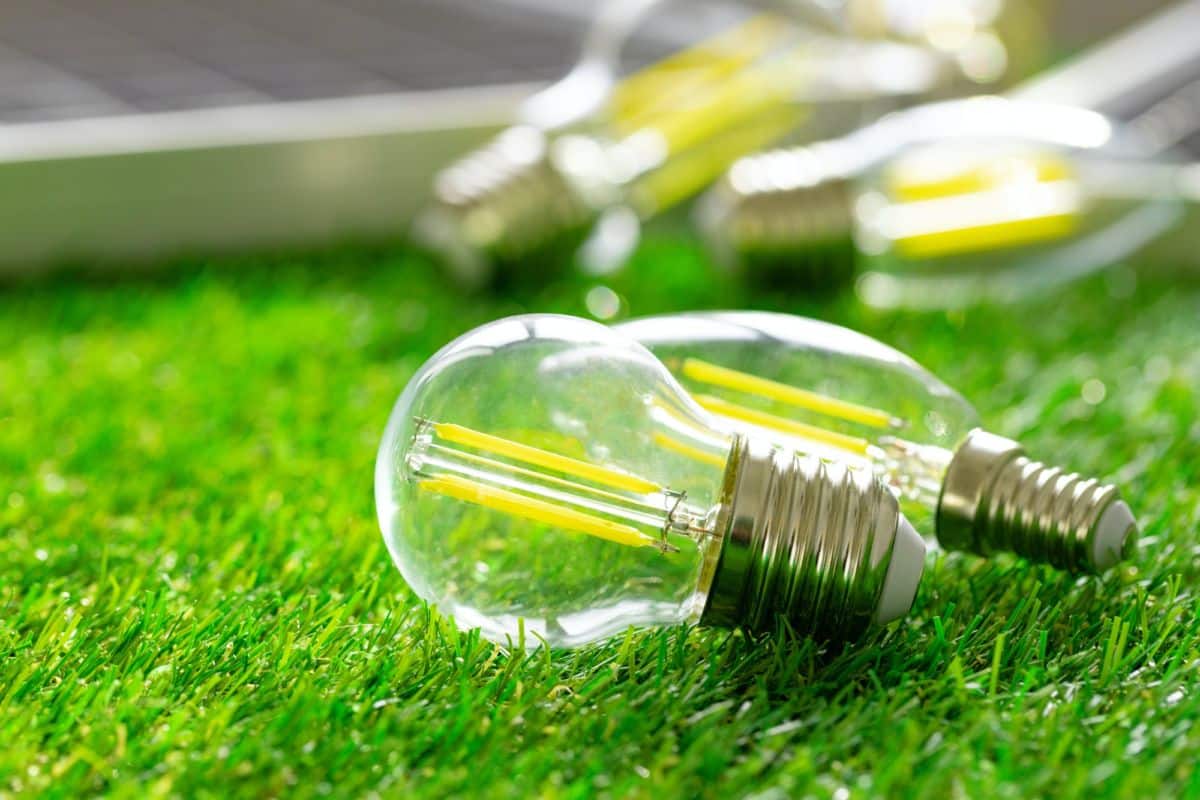 Energy efficient light bulb lying on grass