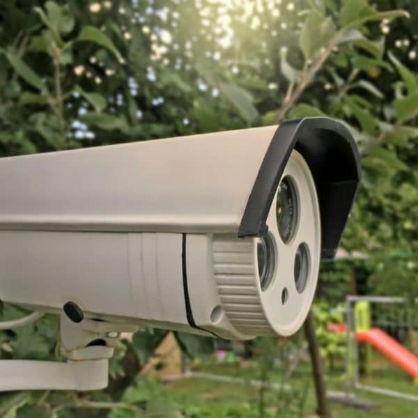 Une Caméra De Vidéosurveillance Est Montée Sur Un Arbre.