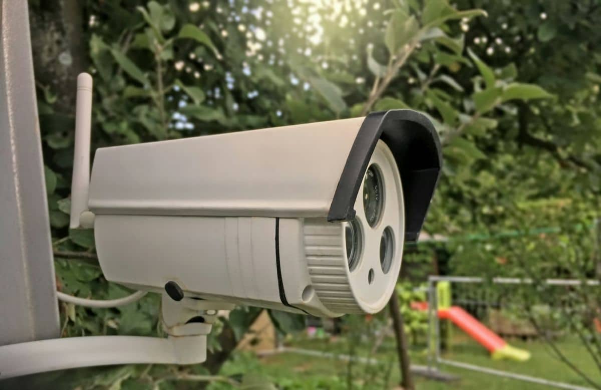 Une Caméra De Vidéosurveillance Est Montée Sur Un Arbre.