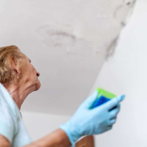 Cleaning up dangerous fungus from a wet wall after water leak