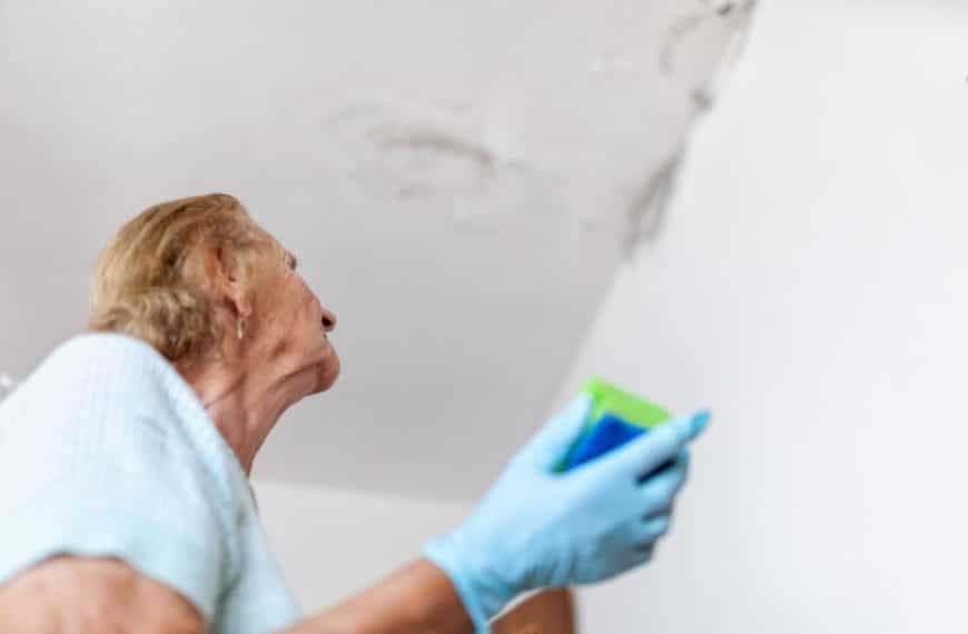 Comment protéger efficacement votre maison…