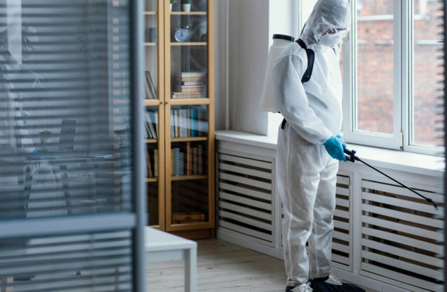 Cafards : les meilleures solutions…