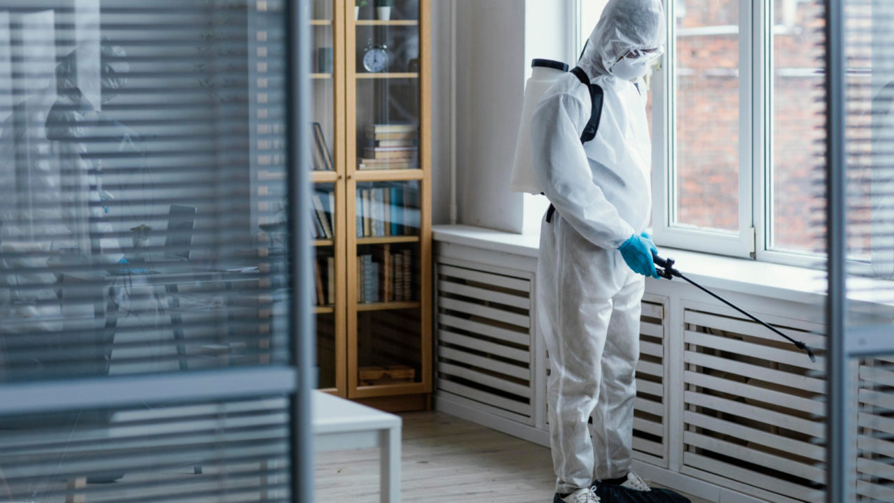 Cafards : les meilleures solutions professionnelles et durables pour une élimination efficace