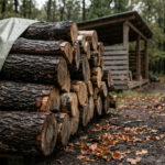 Bûches de bois de chauffage empilées, partiellement couvertes d'une bâche verte mouillée. Un abri en bois et une forêt en arrière-plan.